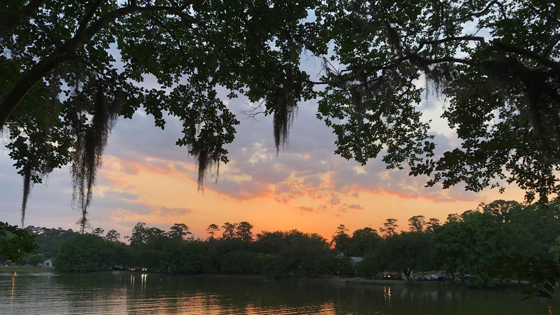 Lake Ella at sunset