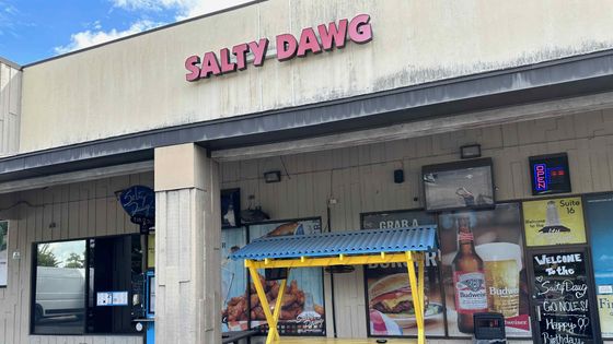 Salty Dawg Pub and Deli